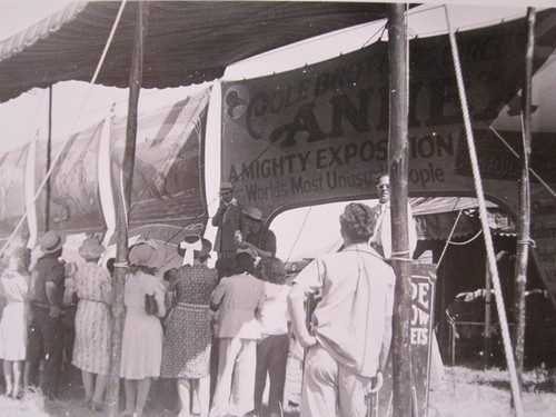 Vintage antike cole circus - antike,