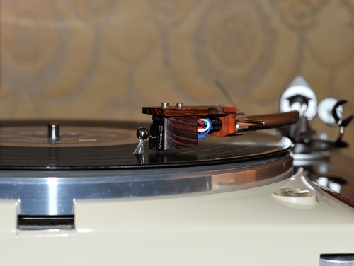Exclusive wood body - wood, for