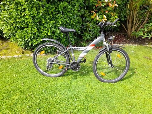 Kinderfahrrad prince wild