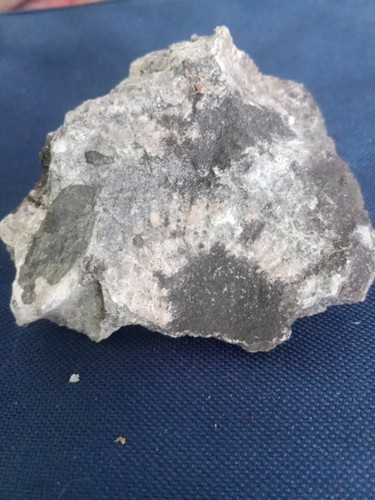 Versteinerungen fossilien - versteinerungen,