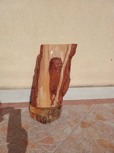 Eule holzmuschel skulptur - holzmuschel,,
