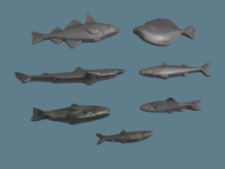 Playmobil Fische Silber Hai Forelle Hering Angler