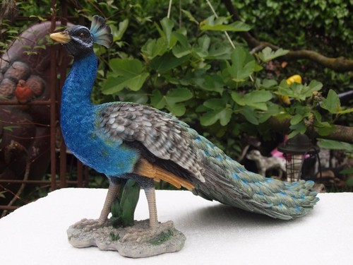 Pfau vogel deko - vogel,