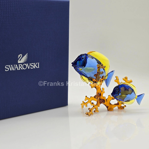 Swarovski doktorfische color - swarovski,