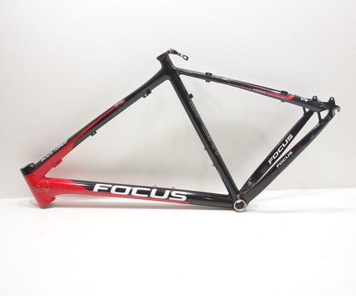 Focus black forest - 26“,