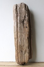 Treibholz Schwemmholz