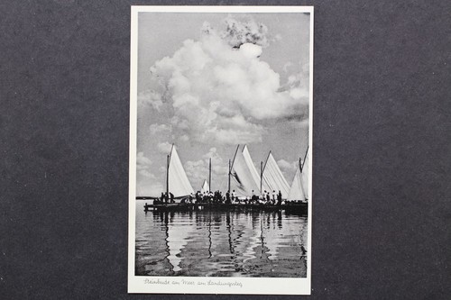 Steinhude meer am - steinhude,