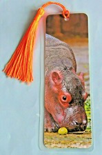 Flusspferde Nilpferd Geschenk