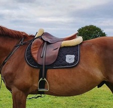 brauner Springsattel STÜBBEN Siegfried S. gebraucht