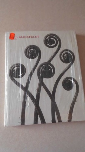 Karl blossfeldt fotografie - blossfeldt,