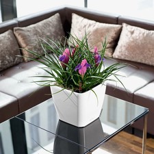 Lechuza 'Quadro LS 21' weiß