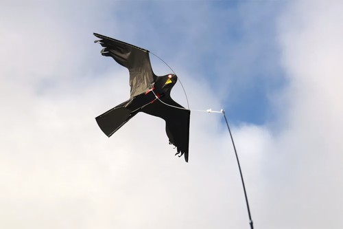 Vogelschreck mit