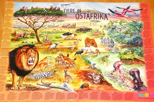 Wissens poster tiere - tiere, in