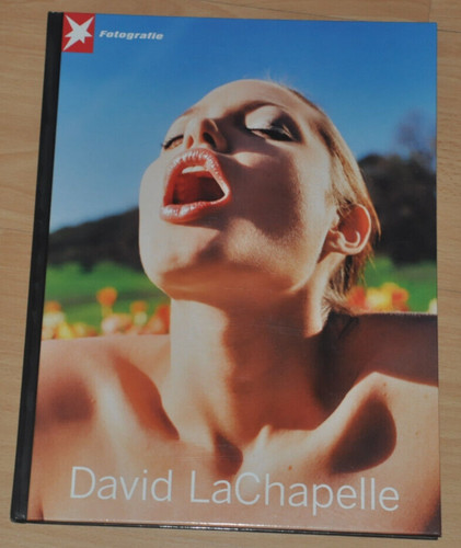 David lachapelle stern - david,