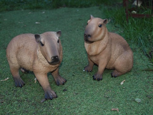 Capybara deko figur - capybara,