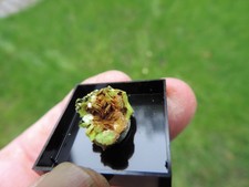 gelbes Mineral aus dem Granitsteinbruch in Bergen im Vogtland