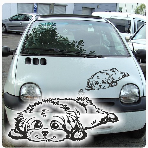 Auto aufkleber malteser - auto,