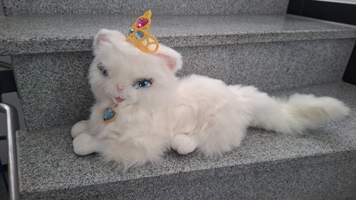 Serafina katze barbie - katze,