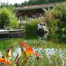 Teich- und Beckenbeschichtung Komplettset | Glasgelege mit PU-Decklack + Zubehör