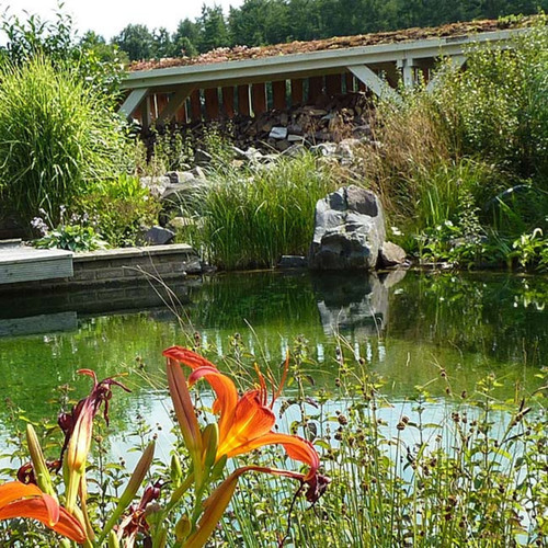 Teich und beckenbeschichtung - teich-,