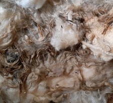 5 Kg Schafwolle Frostschutz