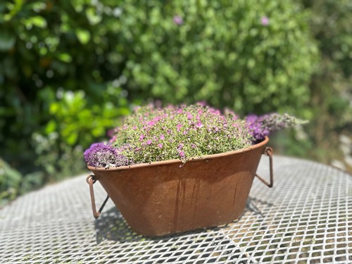 Edelrost wanne zum bepflanzen - edelrost,