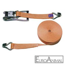 Ratschengurt Spanngurt