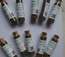 Pollenschmaus Saatgut f 7,5qm Insekten-u. Bienenweide (1/10/50/300 Miniflaschen)