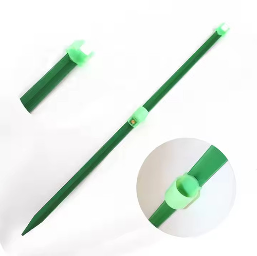 Meeresangeln sandspike - meeresangeln,
