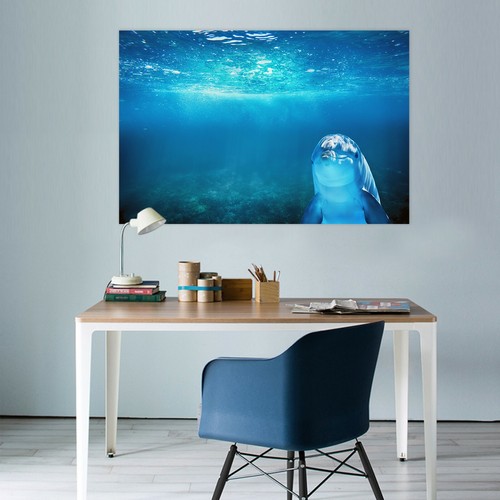 Ozean delphin m70 tier - 3d,