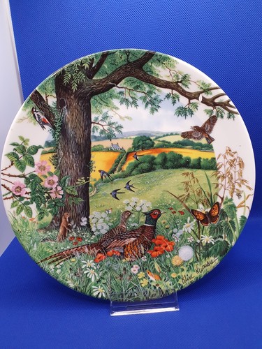 Wedgewood sammlerteller - wedgewood,