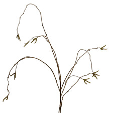 künstlicher Birkenzweig 100cm