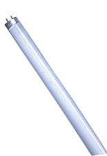 Vorteilspack 2 Stück