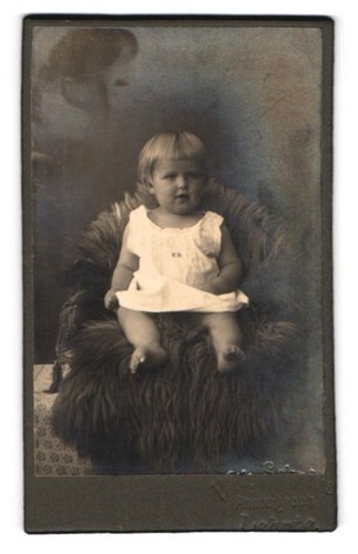 Fotografie willy schroers - fotografie,