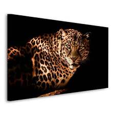 Leopard Black Tiere Wandbild