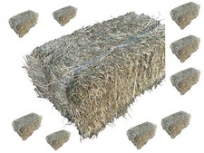 10 Heuballen für Pferde Kaninchen Meerschweinchen Hamster Wiesenheu Heu Ballen