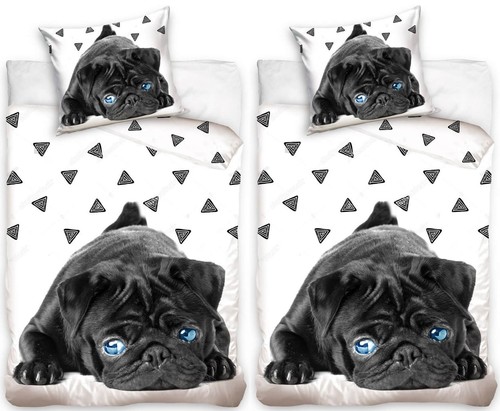 Mops welpe hund - mops,