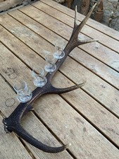 Schnapsglashalter Hirschgeweih