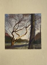 Landschaft mit Bäumen Wald