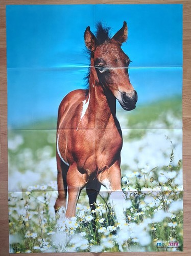 ✿PFERDE-POSTER