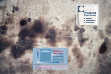 Phoenix Enzymreiniger