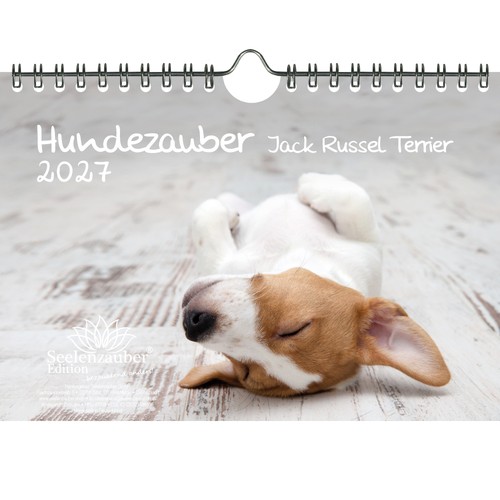 Hundezauber jack russel - hundezauber,