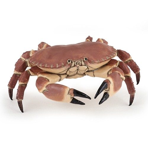 Papo 56047 meereswelt - -,