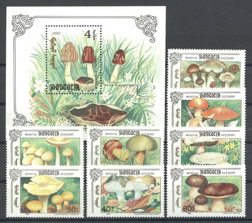 Pilze mushrooms mongolei - -,