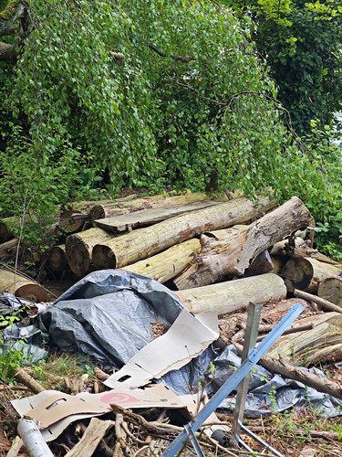 Gemischtes brennholz - brennholz, 4