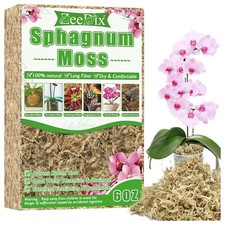 Natürlicher Sphagnum-Moos