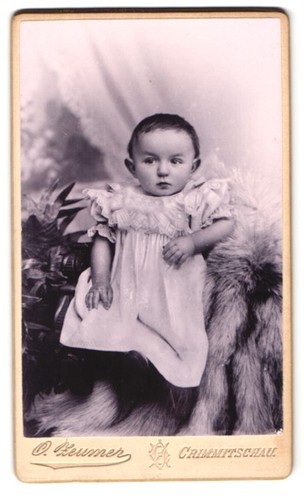 Fotografie otto zeumer - fotografie,