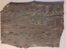 Sehr altes Druck-Model aus