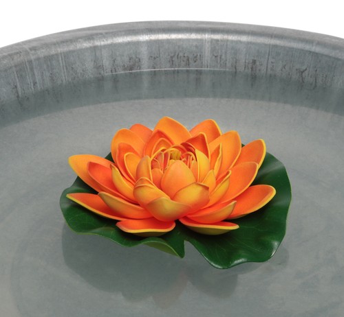 Seerose für schwimmschale - seerose,