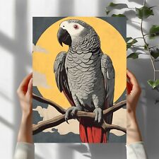 Graupapagei Vogel Premium